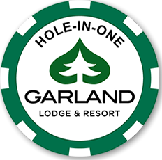 Hole in one poker chips- green